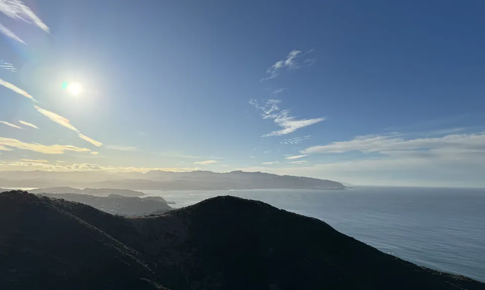 Swallow's loop, Wellington