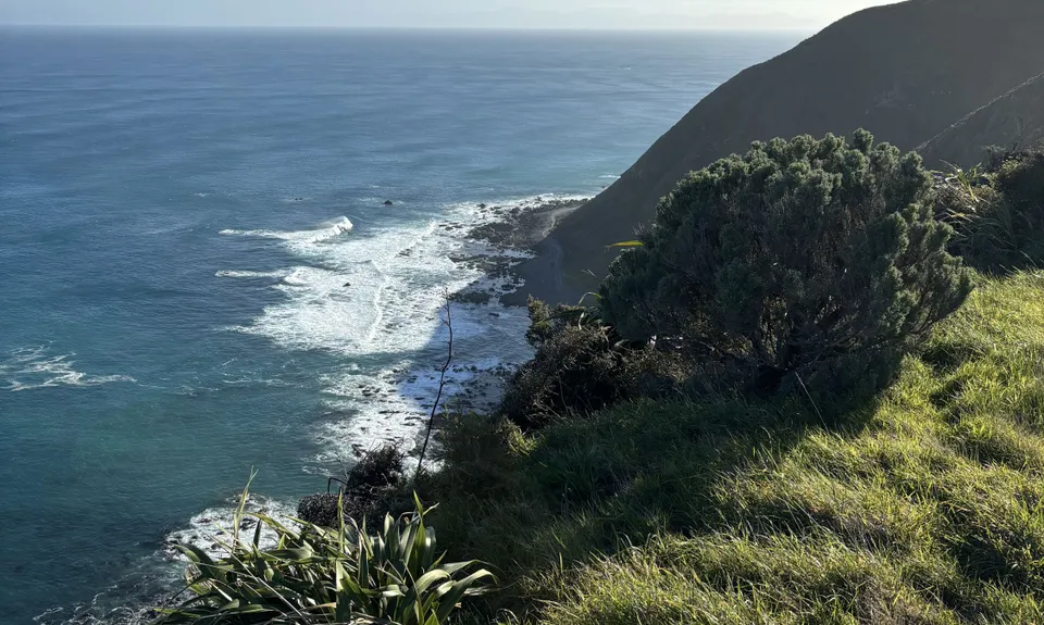 Swallow's loop, Wellington
