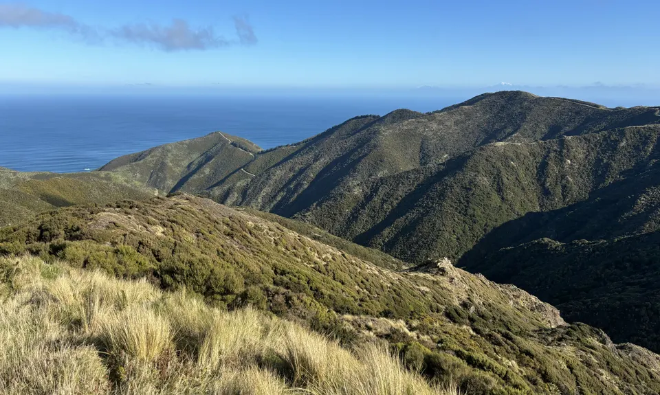 Swallow's loop, Wellington