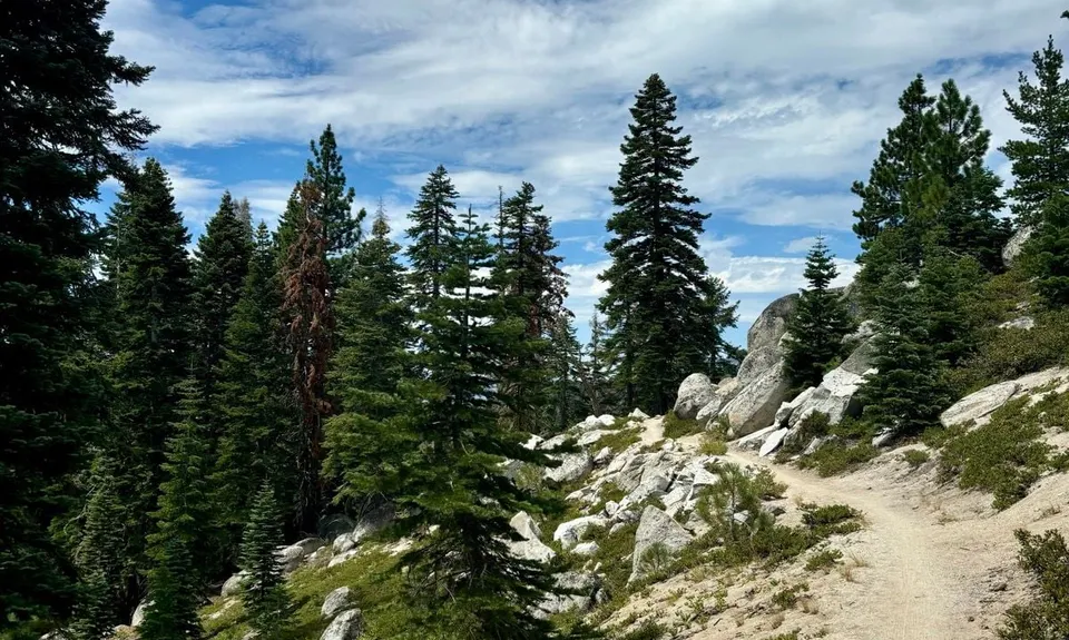 Tahoe Rim Trail - Flume Trail Loop, United States