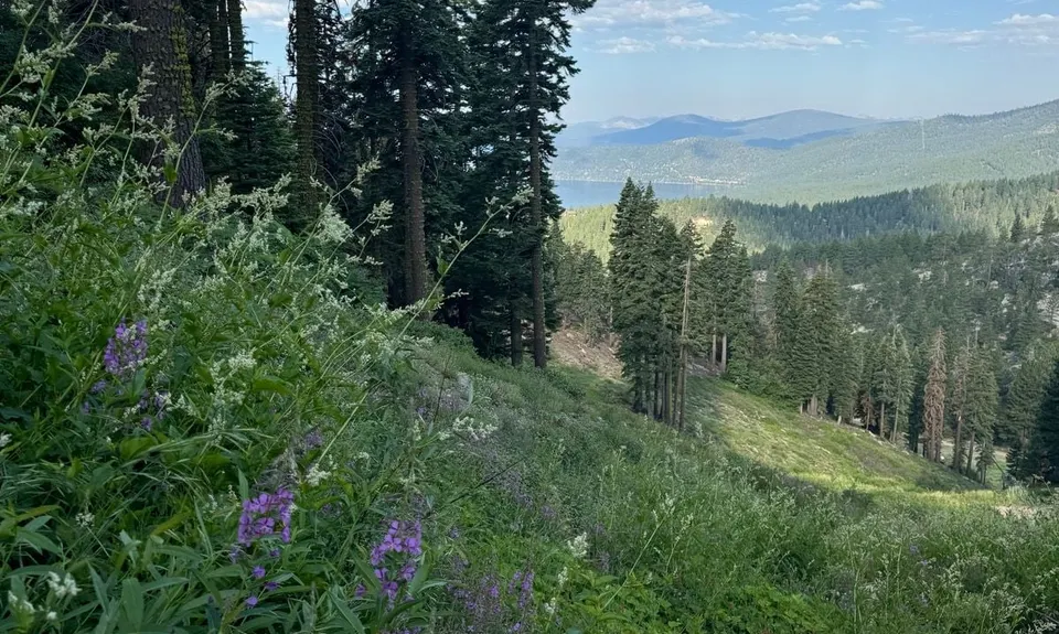 Tahoe Rim Trail - Flume Trail Loop, United States