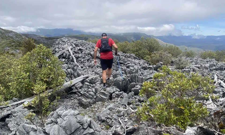 Takaka Hill Walkway, Tasman