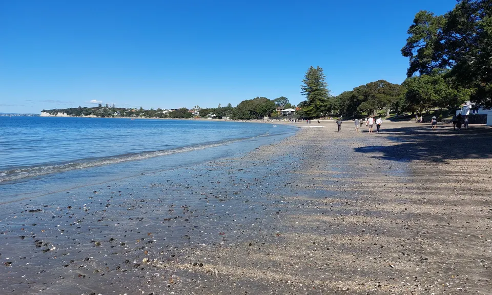 Takapuna Rocks, Auckland