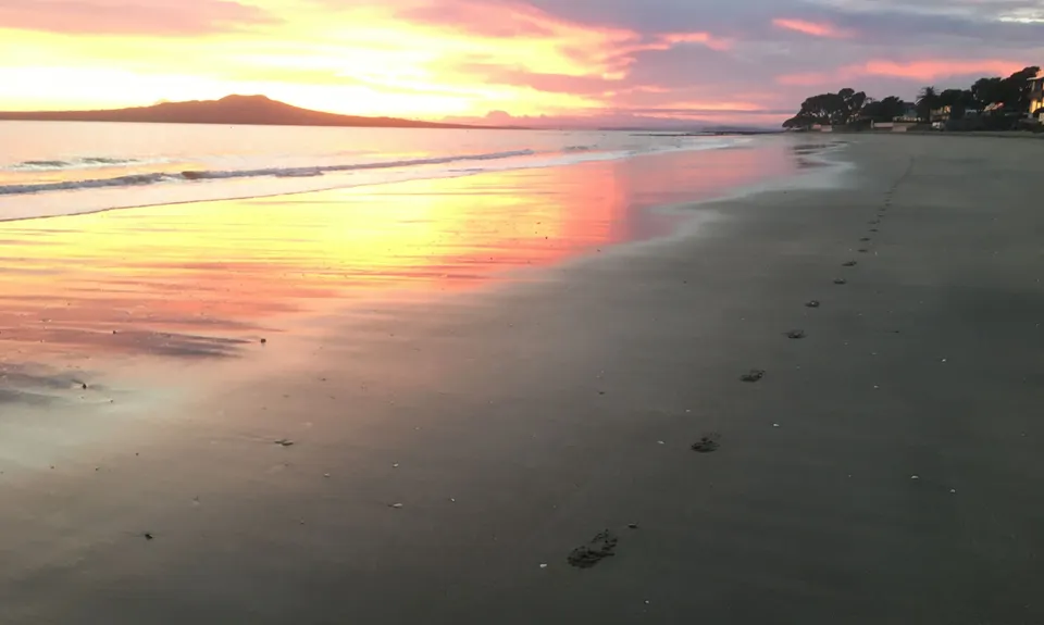 Takapuna Rocks, Auckland