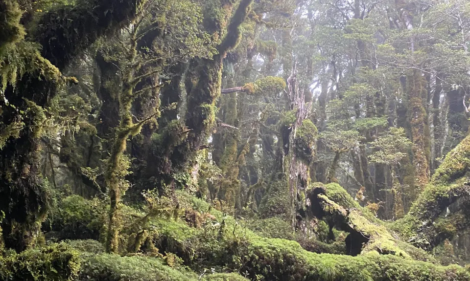 Tararua Southern Crossing, Wellington