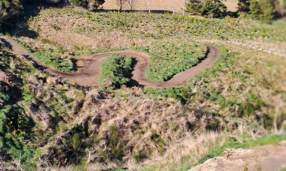 Tauhara Grunt, Waikato