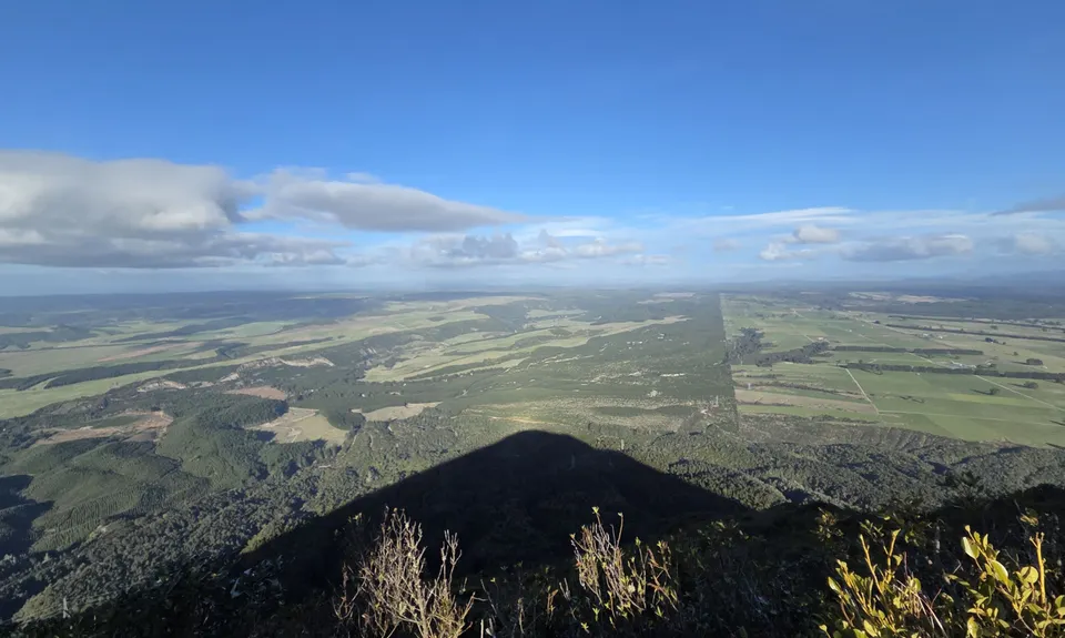 Tauhara Grunt, Waikato