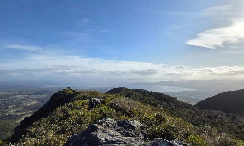 Tauhara Grunt, Waikato