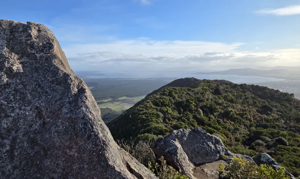 Tauhara Grunt, Waikato