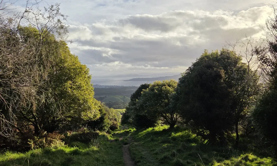 Tauhara Grunt, Waikato