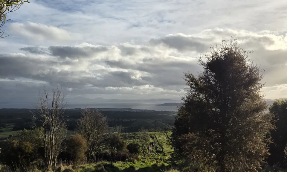 Tauhara Grunt, Waikato