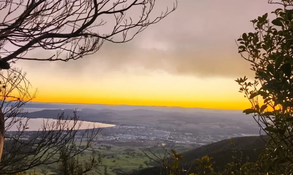 Tauhara Grunt, Waikato