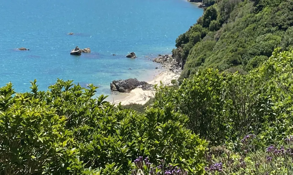Taupo Pa, Tasman