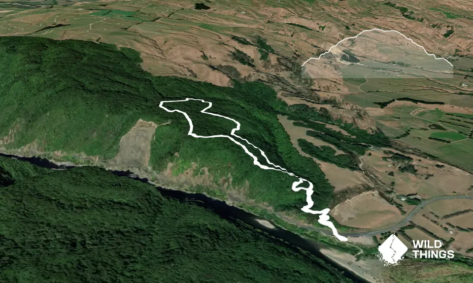 Tawa Loop - Manawatu Gorge, Manawatu - Wanganui