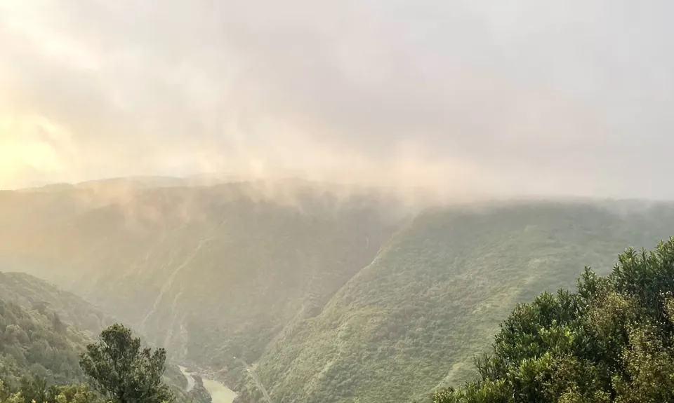 Tawa Loop - Manawatu Gorge, Manawatu - Wanganui