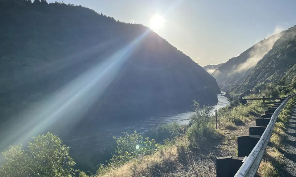 Tawa Loop - Manawatu Gorge, Manawatu - Wanganui