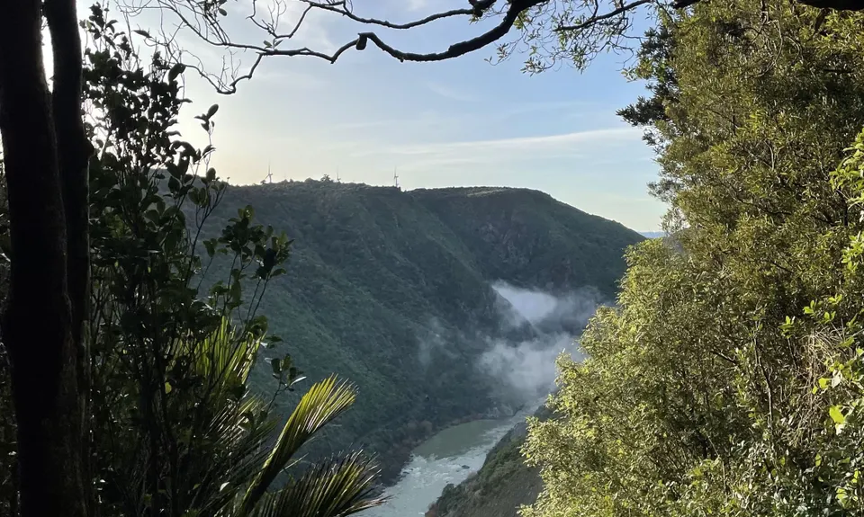 Tawa Loop - Manawatu Gorge, Manawatu - Wanganui