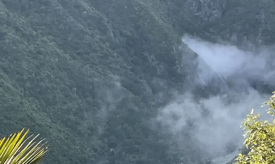 Tawa Loop - Manawatu Gorge, Manawatu - Wanganui