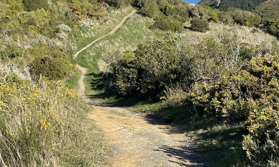 Tawatawa Trails, Wellington