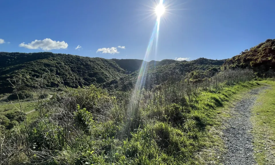 Tawatawa Trails, Wellington