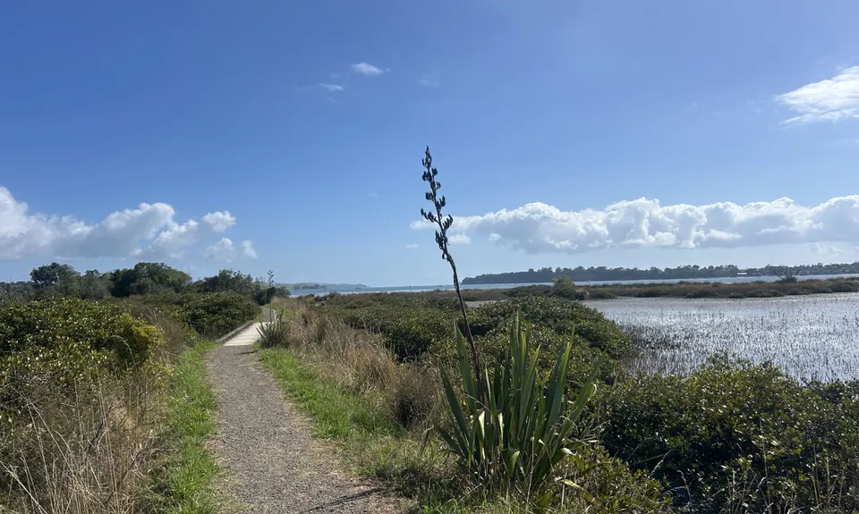 Te Ara ki Uta ki Tai, Auckland