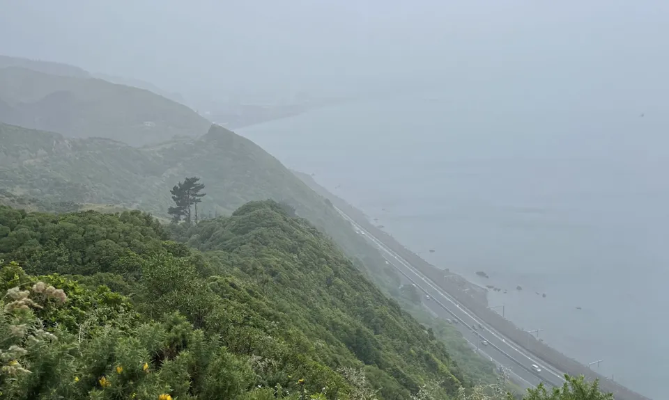 Te Ara Papararangi Views, Wellington