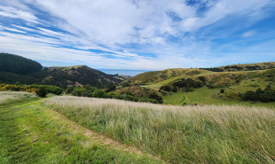 Te Ara Tawhai Tiromoana Bush trail loop, Canterbury