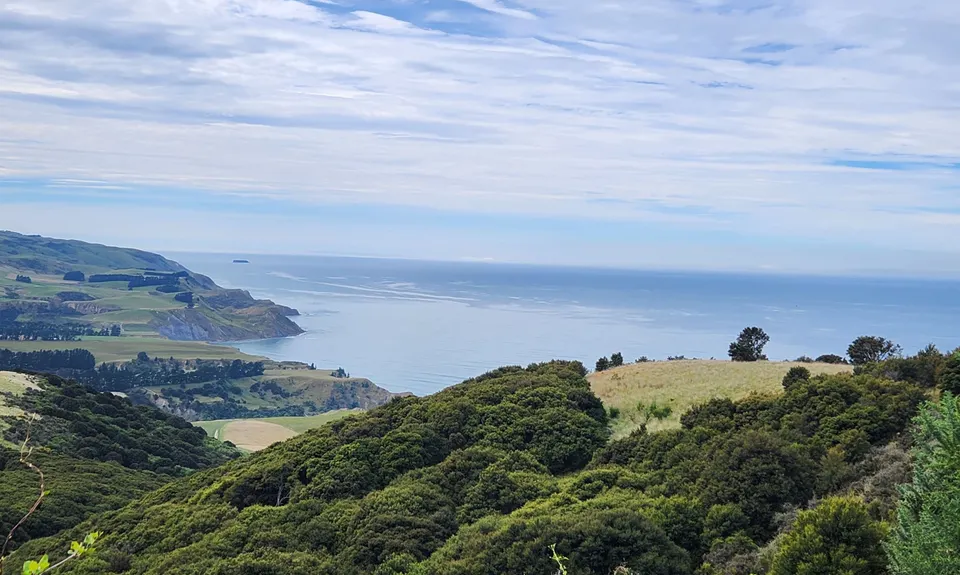 Te Ara Tawhai Tiromoana Bush trail loop, Canterbury