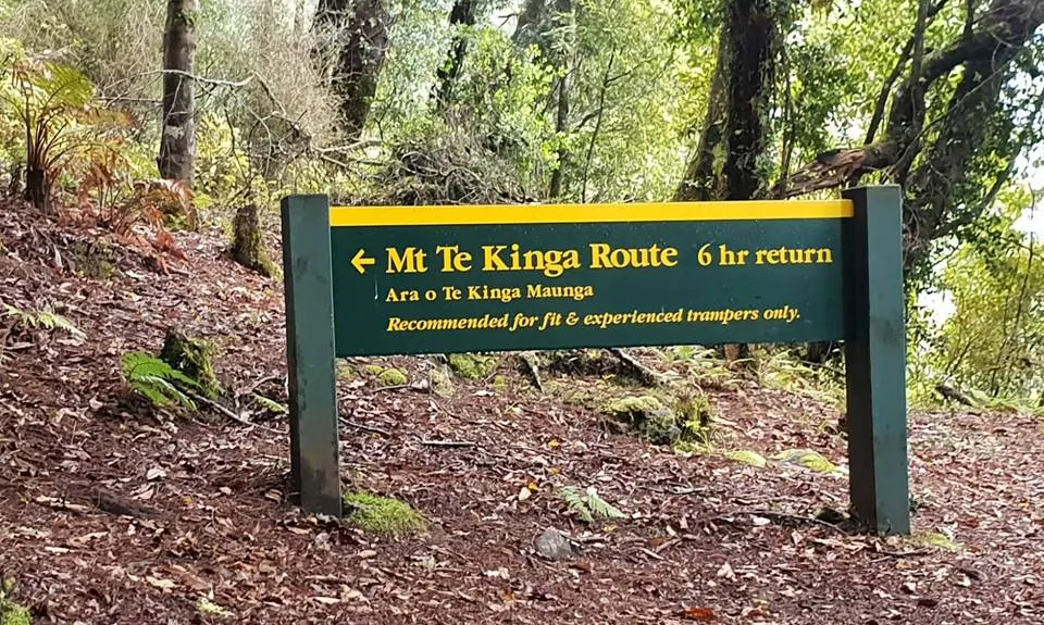 Mount Te Kinga, West Coast