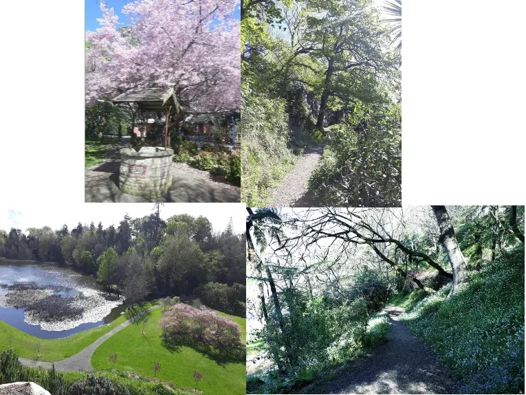 Te Koutu Has It All, Waikato
