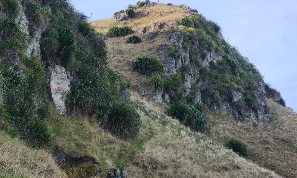 Te Mata Peak