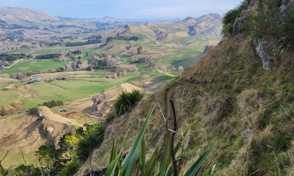 Te Mata Peak