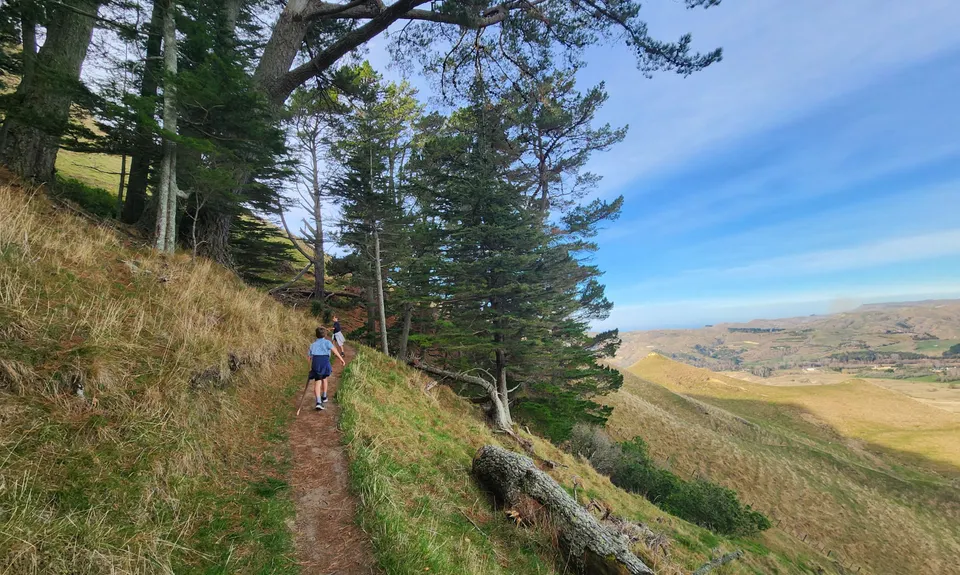 Te Mata Peak