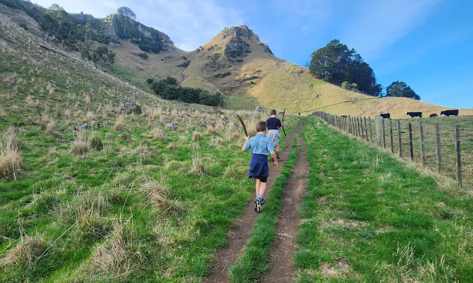 Te Mata Peak