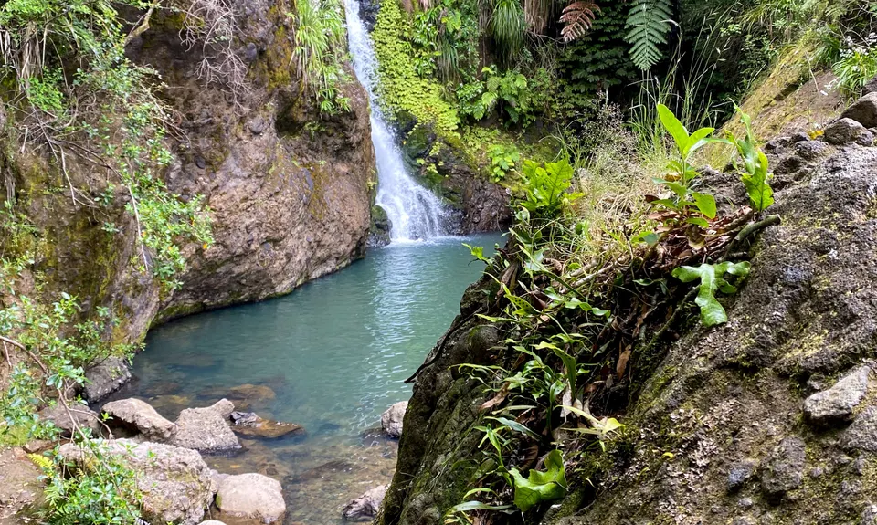 Te Rau-o-te-Huia Summit, Auckland