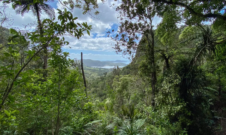 Te Rau-o-te-Huia Summit, Auckland
