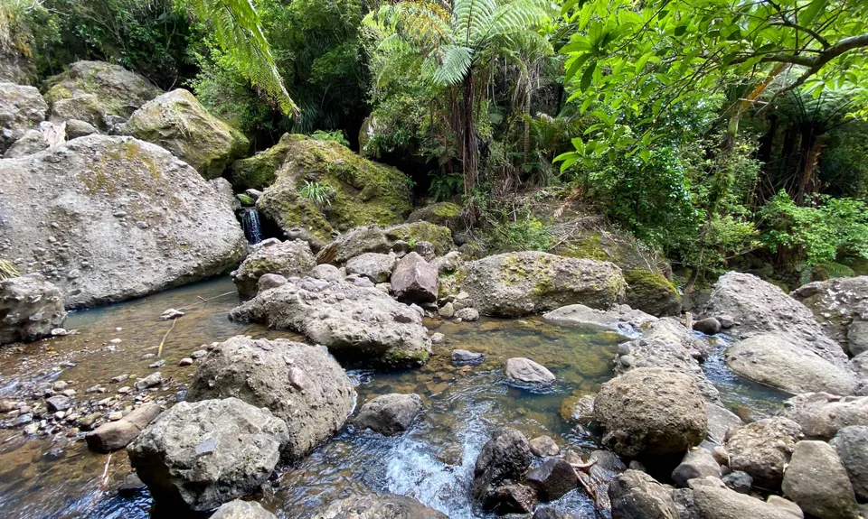 Te Rau-o-te-Huia Summit, Auckland