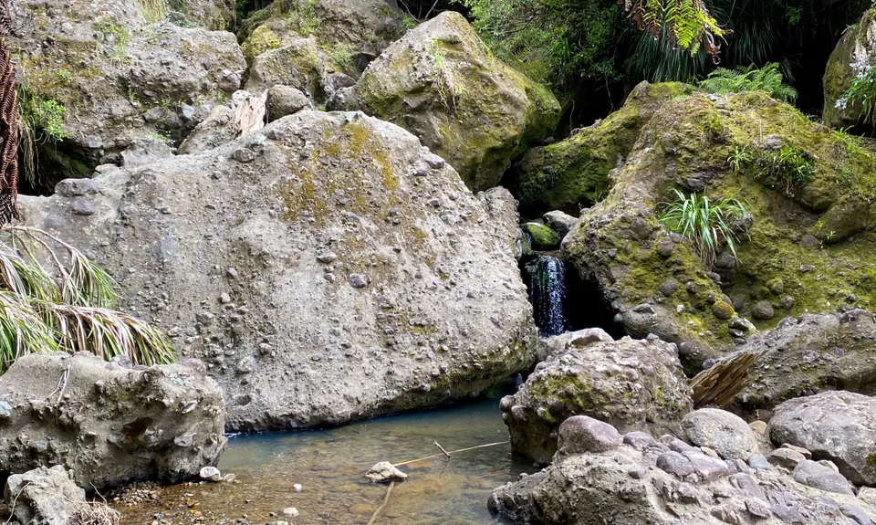 Te Rau-o-te-Huia Summit, Auckland