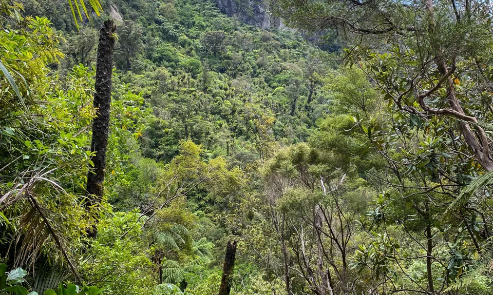Te Rau-o-te-Huia Summit, Auckland