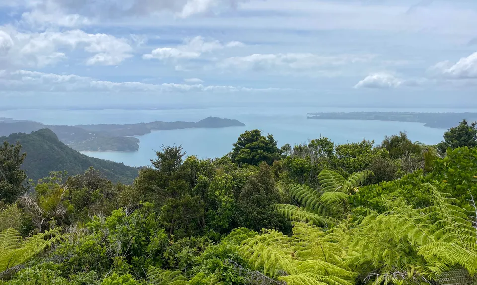 Te Rau-o-te-Huia Summit, Auckland
