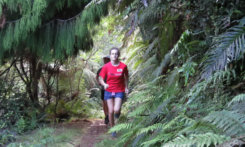 Te Waiti Track, Bay of Plenty