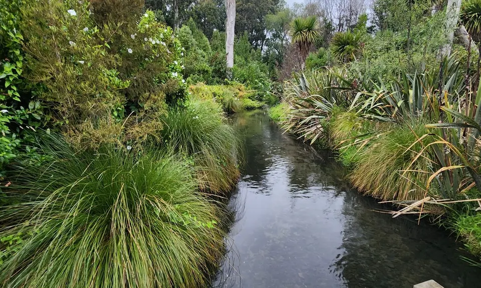 Te Waoku Kapuka - Pick up Styx, Canterbury
