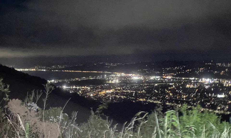 Te Whiti Riser, Wellington