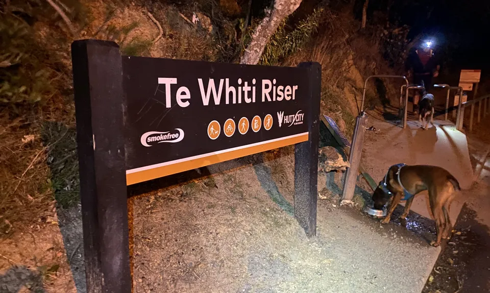 Te Whiti Riser, Wellington