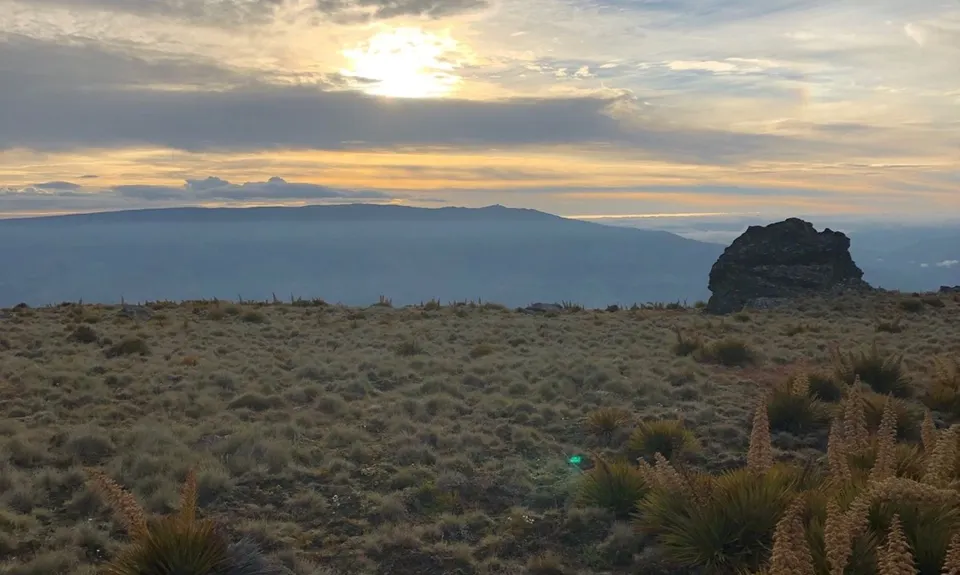 Lowburn to Deep Creek, Otago