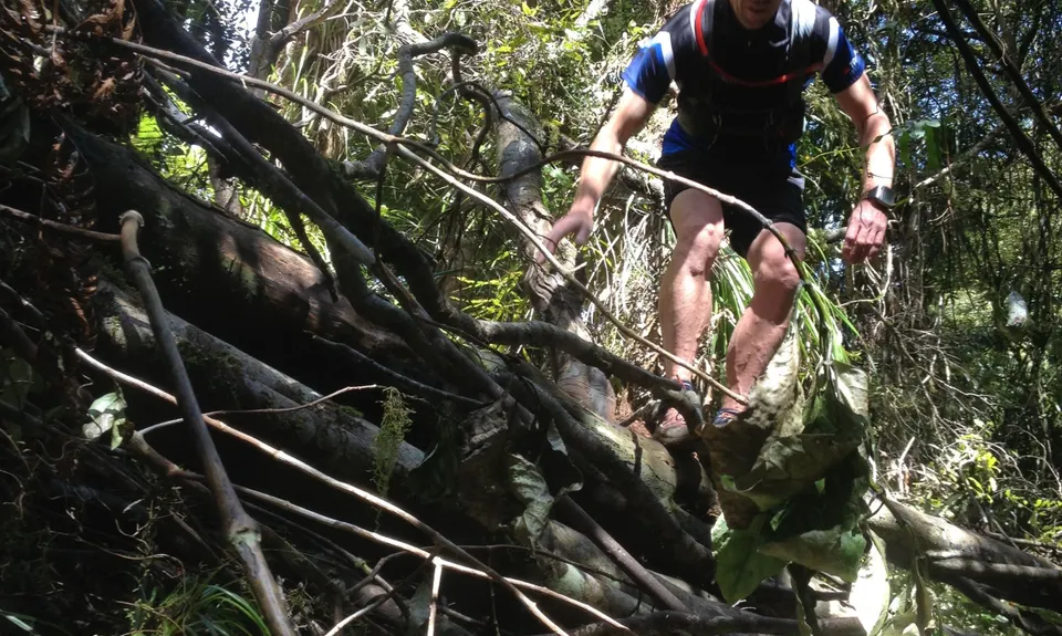 Thames Over The Top, Waikato
