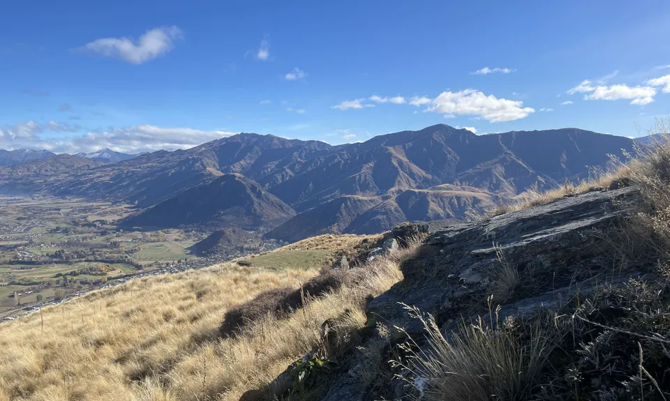 The Beast of Beetham, Otago