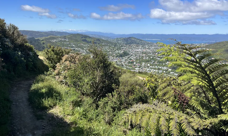 The Benbow Round, Wellington