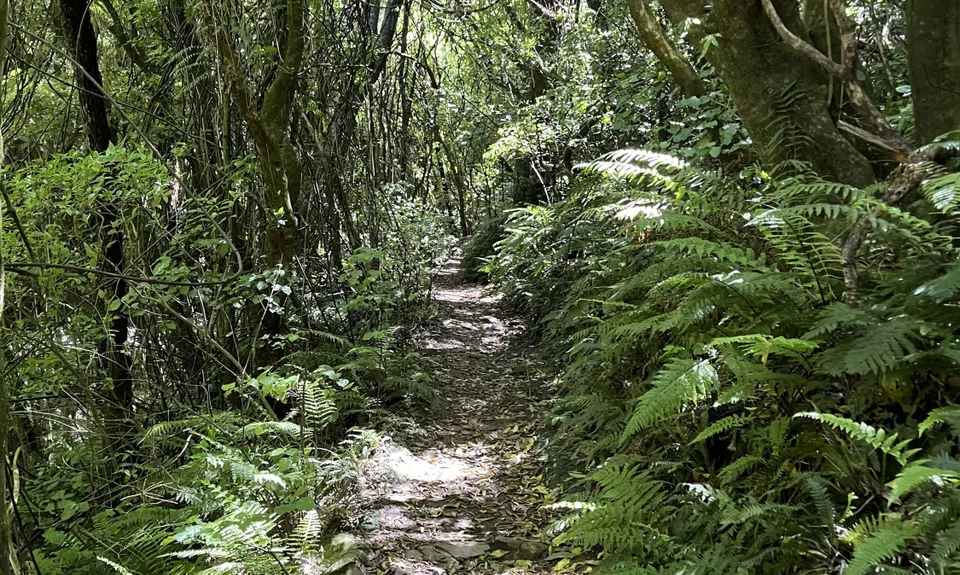 The Benbow Round, Wellington
