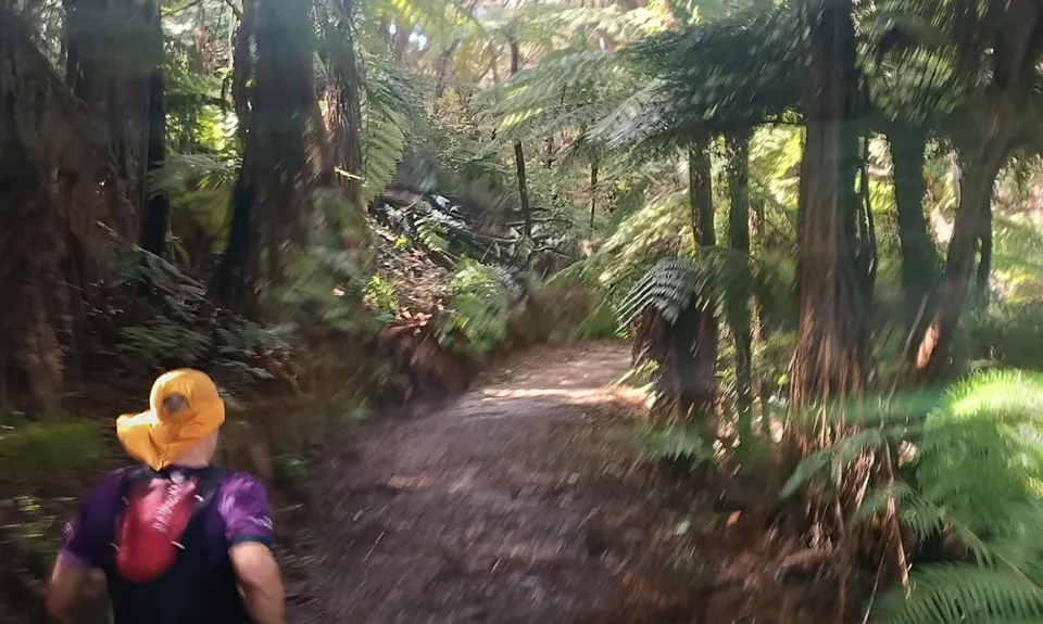 The Full Abel Tasman, Tasman